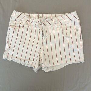 Women’s Size 8 Shorts